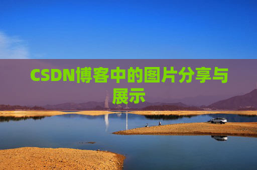 CSDN博客中的图片分享与展示